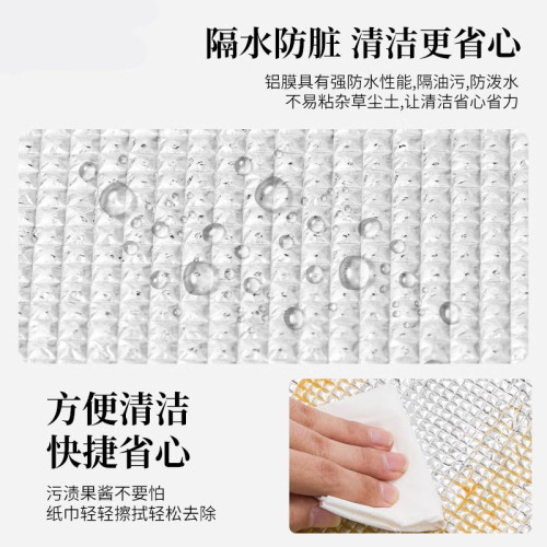野餐墊帳篷防潮墊戶外可攜式加厚露營家用打地鋪鋁箔膜野餐墊子地墊