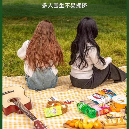 戶外加厚野餐墊防水防潮野炊墊野營沙灘帳篷地墊春遊墊子可攜式郊遊