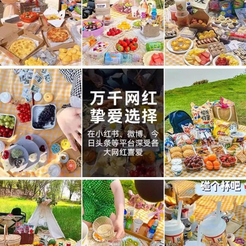 戶外加厚野餐墊防水防潮野炊墊野營沙灘帳篷地墊春遊墊子可攜式郊遊