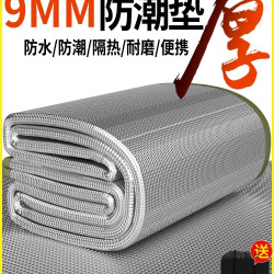 防潮墊加厚戶外野餐墊露營帳篷防水睡墊家用宿捨打地鋪可攜式地墊子
