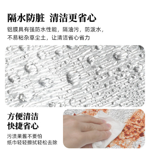 探險者帳篷防潮墊戶外可攜式加厚露營家用打地鋪鋁箔膜野餐墊子地墊