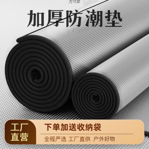 可攜式鋁膜戶外墊露營帳篷隔潮睡墊加厚公園沙灘郊遊野餐墊超厚