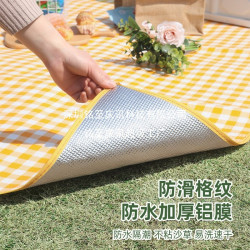 野餐墊戶外徒步休閒公園坐墊加厚可攜式帶野外野炊墊露營帳篷防潮墊