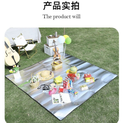 鋁膜防潮墊野餐墊帳篷地墊旅行多人加厚戶外可攜式防水草坪雙面墊