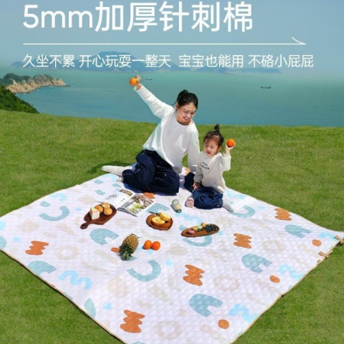 野餐墊防潮墊加厚戶外露營帳篷地墊野營坪可攜式沙灘墊其他