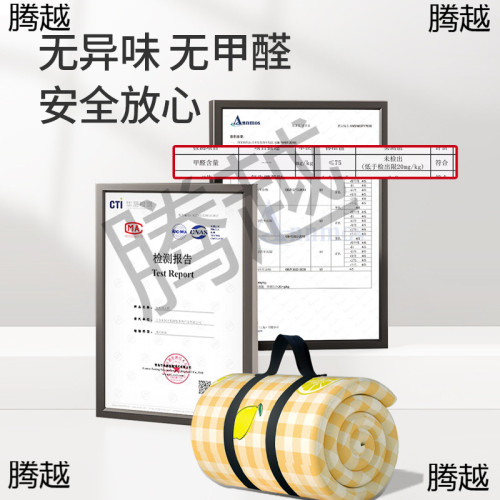 加厚野餐墊防潮墊戶外野炊春遊坪墊子可機洗超音波露營帳篷地墊