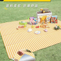 野餐墊加厚防水可攜式帶帳篷防潮墊野外露營郊遊野炊墊宿捨防潮床墊