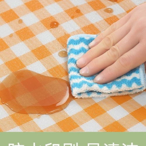 野餐墊加厚防水可攜式帶帳篷防潮墊野外露營郊遊野炊墊宿捨防潮床墊