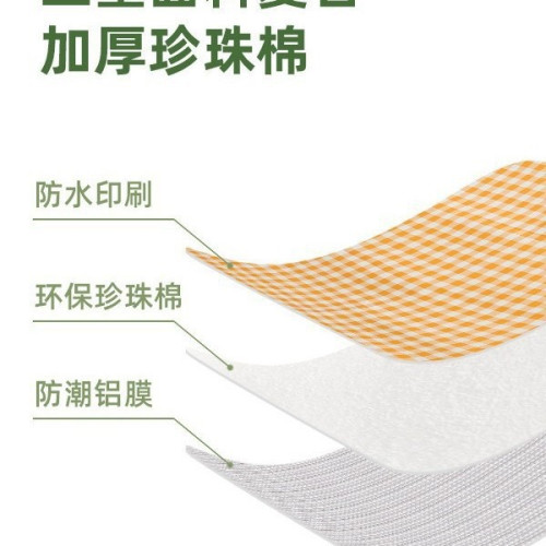 野餐墊加厚防水可攜式帶帳篷防潮墊野外露營郊遊野炊墊宿捨防潮床墊