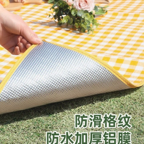 野餐墊加厚防水可攜式帶帳篷防潮墊野外露營郊遊野炊墊宿捨防潮床墊