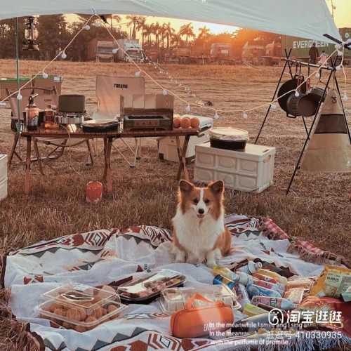 新品戶外裝備多用途民族風野餐墊地墊歐式露營毯野炊沙灘蓋毯