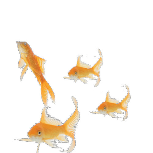 防潮墊戶外露營加厚野餐墊可攜式防水野炊墊子家用帳篷宿捨睡墊地墊