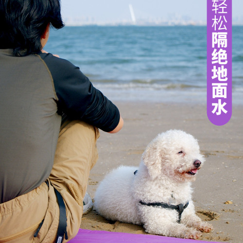 戶外野餐墊墊可攜式口袋迷你沙灘防水防潮露營地毯防沙地布小野餐布