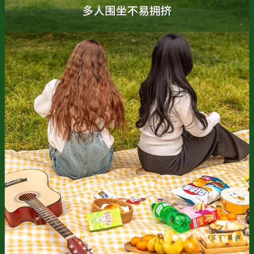 戶外野餐墊防水防潮加厚野炊墊野營沙灘帳篷地墊春遊墊子可攜式郊遊