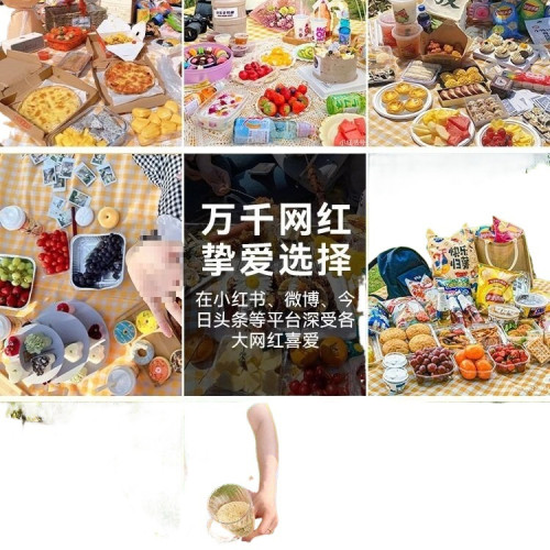 戶外野餐墊防水防潮加厚野炊墊野營沙灘帳篷地墊春遊墊子可攜式郊遊