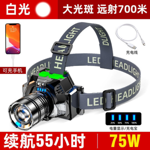 德國精工強光頭燈LED可充電變焦遠射頭戴式手電筒超亮夜釣魚礦燈