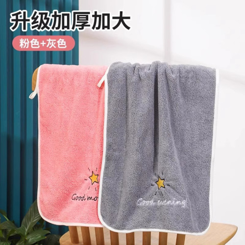 珊瑚絨毛巾速乾不掉毛家用兩條裝76cm*37cm