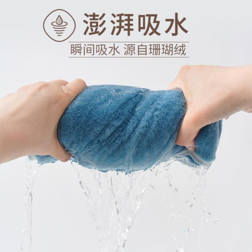 珊瑚絨大毛巾 吸水不掉毛 洗澡浴巾洗頭乾髮巾巾速乾媛洛