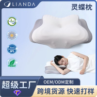 爆款慢廻彈記憶棉枕 側睡護頸椎助睡眠枕芯頸枕超柔枕頭