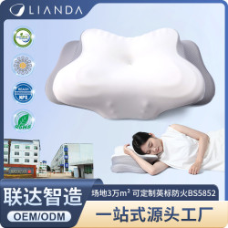 爆款慢廻彈記憶棉枕側睡護頸椎助睡眠枕芯深睡護頸枕超柔枕頭