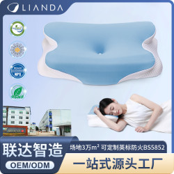 新品慢廻彈記憶棉枕頭酒店家用呵護頸椎枕助睡眠記憶枕頭禮品