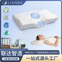 頸椎枕頭不塌陷慢廻彈助睡眠酒店民宿家用記憶枕護頸枕頭