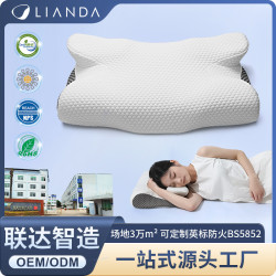 異形枕 慢廻彈記憶棉枕頭護頸椎助睡眠頸部支撐3D枕頭
