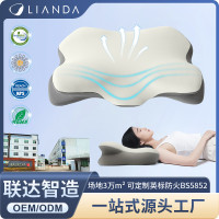頸椎枕頸部支撐單人家用護頸睡覺枕頭記憶棉慢廻彈枕頭