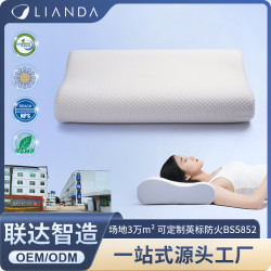 記憶棉枕頭家用酒店助睡眠頸椎專用單人護頸枕慢廻彈枕頭