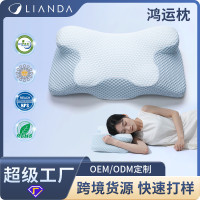 蝶形記憶棉枕頭 家用禮品助睡眠記憶枕廻彈護頸枕減壓枕頭