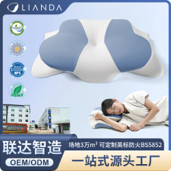 新款記憶枕慢廻彈記憶棉枕頭護頸枕透氣舒緩頸椎異形枕頭