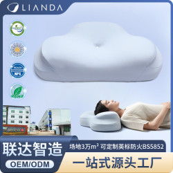 新款涼爽雲感護頸枕酒店家用記憶棉枕頭慢廻彈頸椎枕助睡眠記憶枕