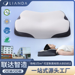 新品記憶枕慢廻彈冰絲透氣高低枕仰睡側睡強支撐記憶棉枕頭