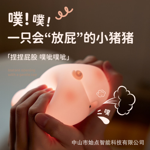 生日禮物屁哥兒豬豬小夜燈放屁豬拍拍矽膠喂奶伴睡燈發光 生日禮物屁哥兒豬豬小夜燈放屁豬拍拍矽膠喂奶伴睡燈發光