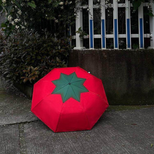 小紅書同款創意番茄雙面自動傘可攜式雨傘遮陽防曬可愛水果造型傘