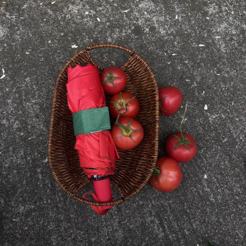 小紅書同款創意番茄雙面自動傘可攜式雨傘遮陽防曬可愛水果造型傘