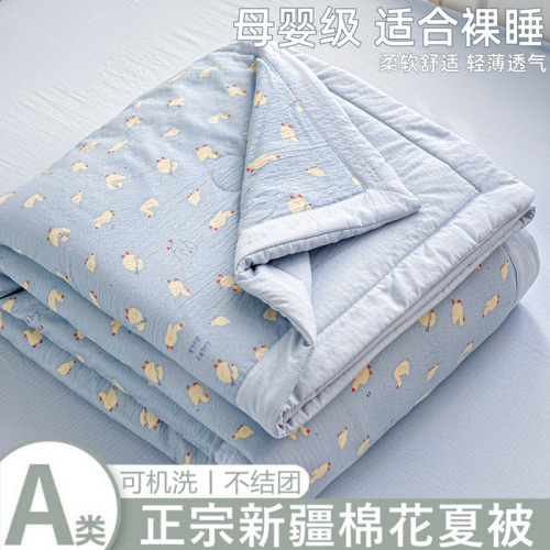 A類母嬰級ins雲感雙層紗純棉夏被棉花被兒童薄被夏涼被空調被學生