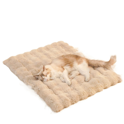 貓窩四季貓墊睡覺貓狗墊寵物狗墊貓咪墊可可拆洗墊子耐髒小狗 貓窩四季貓墊睡覺貓狗墊寵物狗墊貓咪墊可可拆洗墊子耐髒小狗