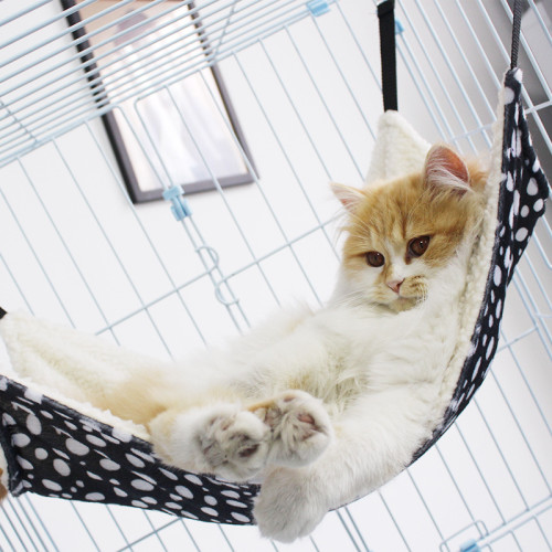 貓吊床籠子用貓咪吊床掛窩貓秋千懸掛式貓窩寵物貓貓吊籃掛床 貓吊床籠子用貓咪吊床掛窩貓秋千懸掛式貓窩寵物貓貓吊籃掛床