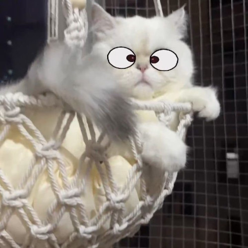 貓咪吊床貓床秋千貓掛床貓吊籃日式貓窩保暖加絨掛式懸掛式貓吊床 貓咪吊床貓床秋千貓掛床貓吊籃日式貓窩保暖加絨掛式懸掛式貓吊床