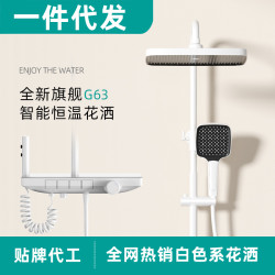 白色恒溫花灑套裝淋浴氛圍燈沐浴家用數顯槍灰色大平台置物架花灑