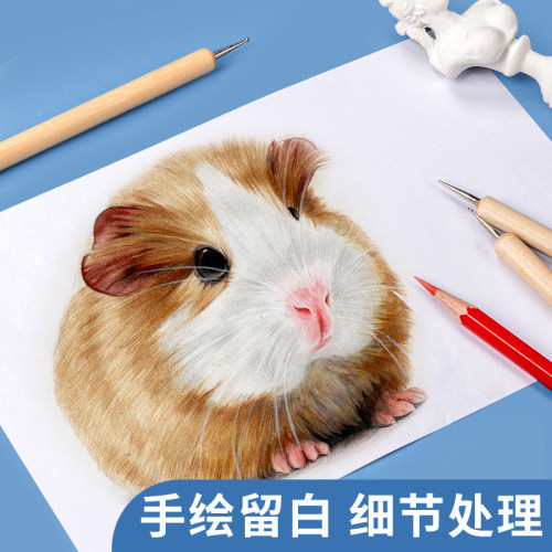 彩鉛壓痕筆素描點花壓線筆兒童模型陶藝粘土作品修飾泥塑刀劃痕筆