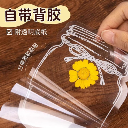 乾花書簽套裝diy材料創意文具學生手工送禮物植物空白透明pet書簽
