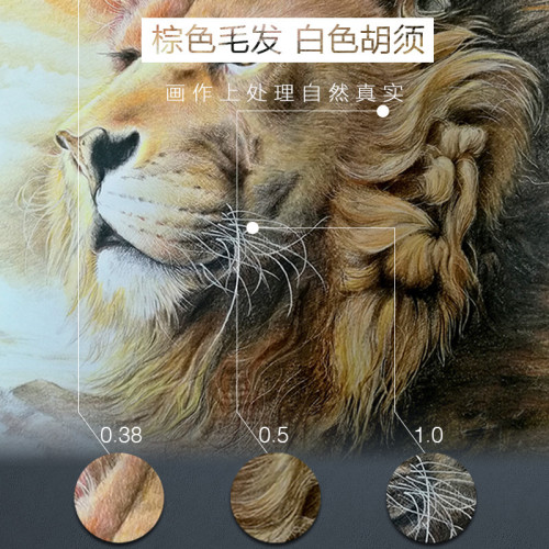 與物共生劃痕筆高光畱白繪畫壓痕筆頭髮細節処理美術文具送禮套裝