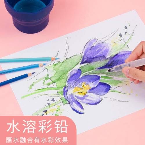 煇柏嘉彩鉛12支盒裝純色水溶性499黑色油性399專業手繪美術彩鉛筆