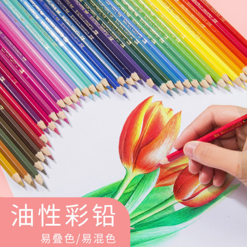 煇柏嘉彩鉛12支盒裝純色水溶性499黑色油性399專業手繪美術彩鉛筆