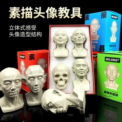 頭頭是道石膏像美術繪畫米隆模型靜物頭像藝術擺件素描頭骨教具