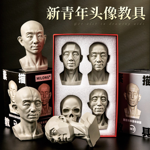 頭頭是道石膏像美術繪畫米隆模型靜物頭像藝術擺件素描頭骨教具
