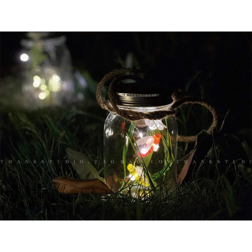 螢火蟲小夜燈兒童手工diy材料/瓶戶外花園裝飾聖誕禮物創意氛圍燈