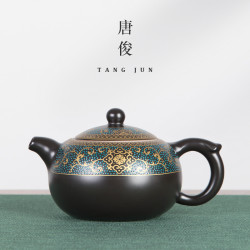 唐俊 琺瑯彩西施壺大號茶壺陶瓷中式功夫單壺家用泡茶壺單個220ml